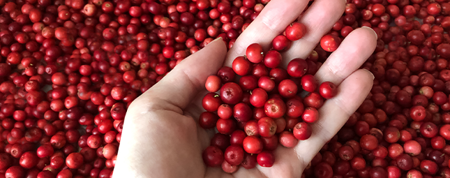 Cranberries
